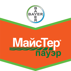МайсТер Пауэр