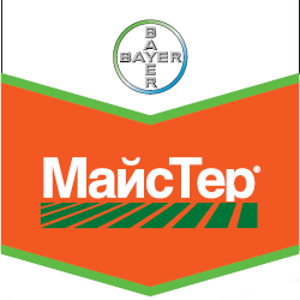 МайсТер