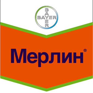 Мерлин