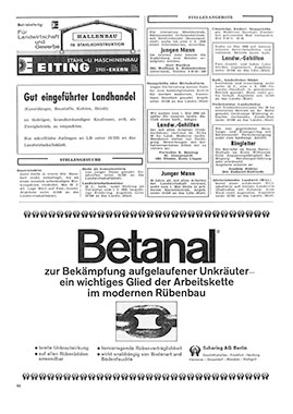 betanal1968