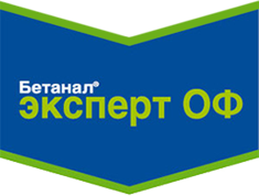 Бетанал эксперт оф