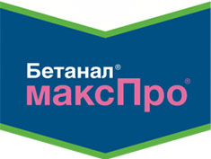 Бетанал макспро