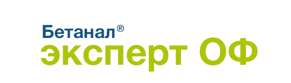 Бетанал Эксперт ОФ