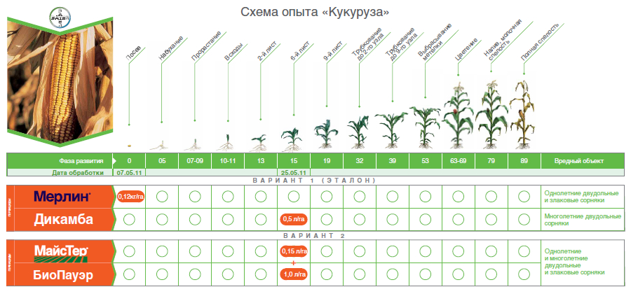 Схема опыта