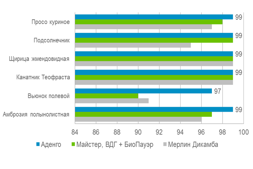 Отчет по опытам: Краснодар 2012 (Кукуруза 2012)