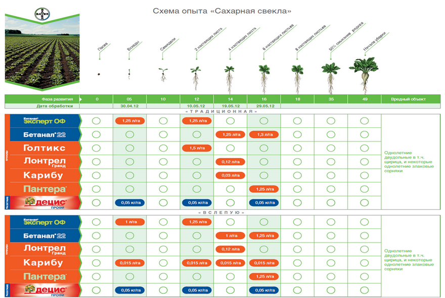 Отчет по опытам: Курск 2012 (Сахарная свёкла)