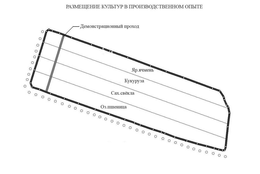 Отчет по опытам: Липецк 2012 (Общая информация)