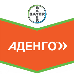 Шеврон Аденго