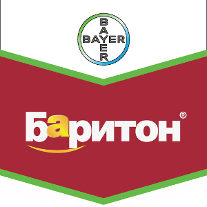 Шеврон Баритон