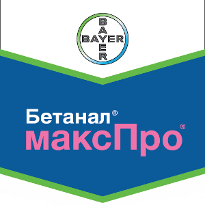 Бетанал максПро – всегда на шаг впереди