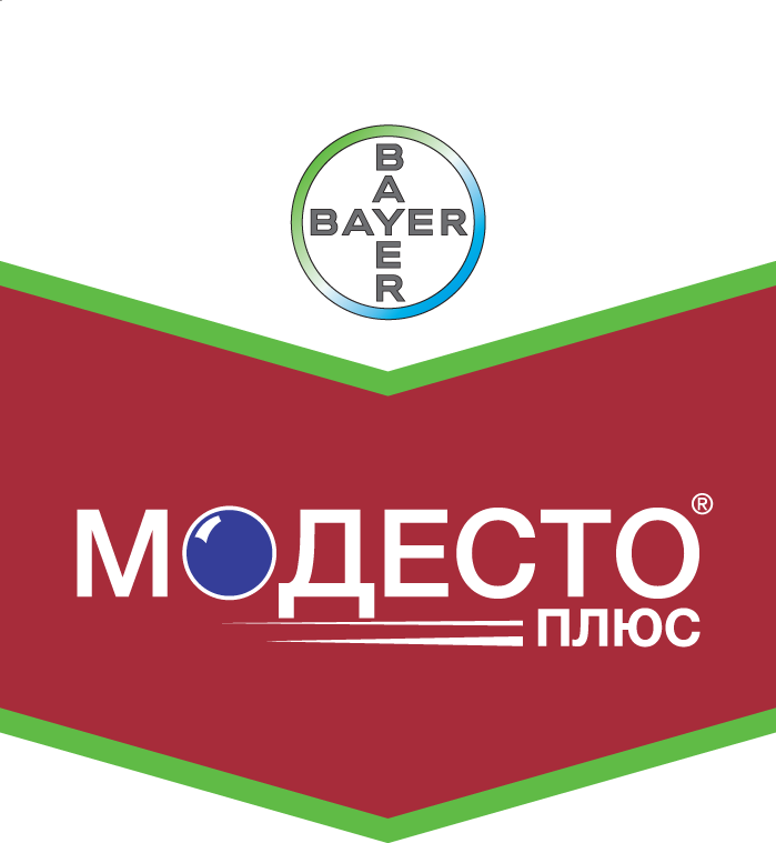Шеврон Модесто Плюс
