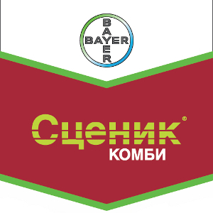 Шеврон Сценик Комби
