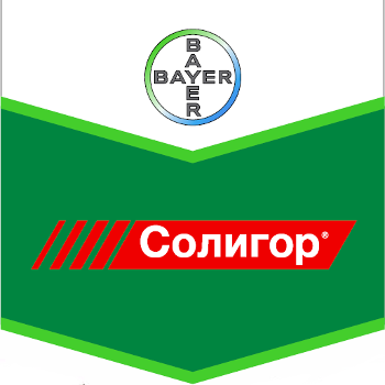 Шеврон Солигор