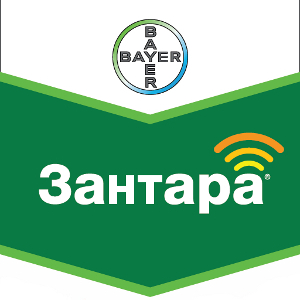 Шеврон Зантара