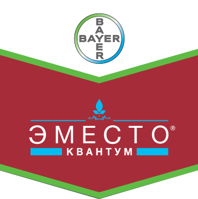 Защита картофеля от вредителей