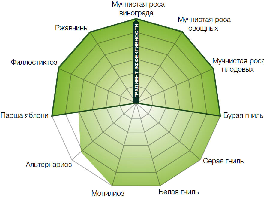 Луна Экспириенс