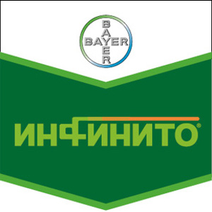 Защита картофеля от фитофтороза