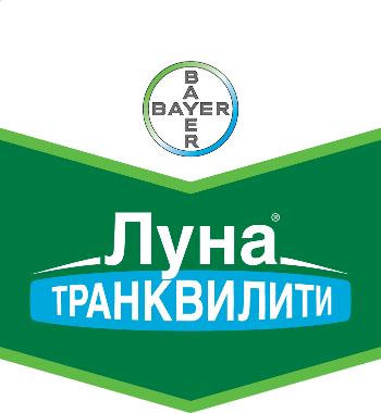Шеврон Луна Транквилити