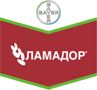 Задумываясь об урожайности, ориентируйтесь на лучшее