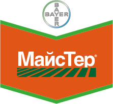 МайсТер - мастер на кукурузном поле!
