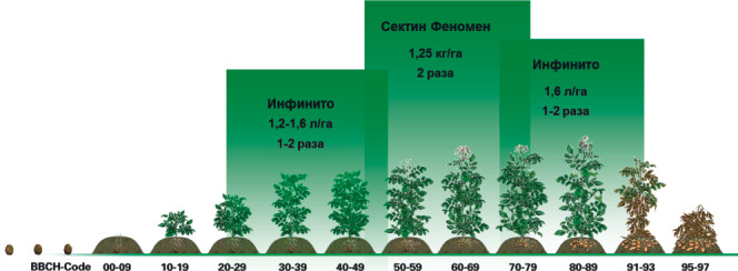 Курс на качество продукции