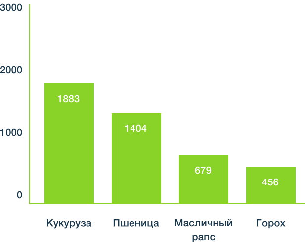Влияние предшествующей культуры
