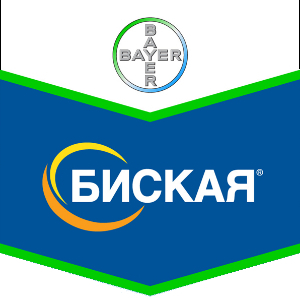 Шеврон Биская