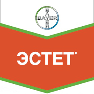 Шеврон Эстет