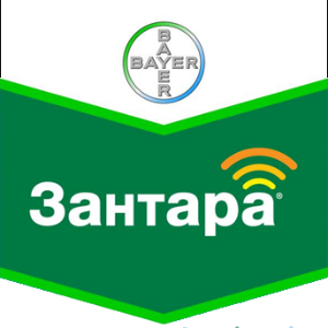 Шеврон Зантара