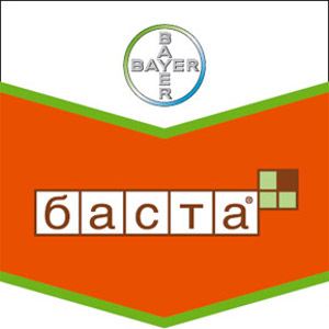 Шеврон Баста