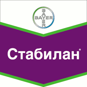 Шеврон Стабилан