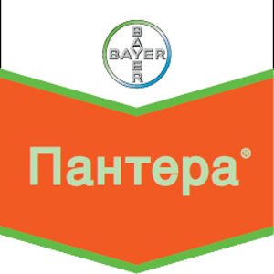 Шеврон Пантера
