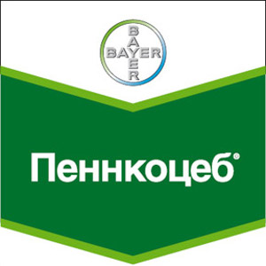 Защита картофеля от фитофтороза