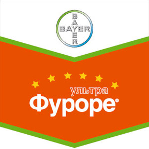 Шеврон Фуроре Ультра