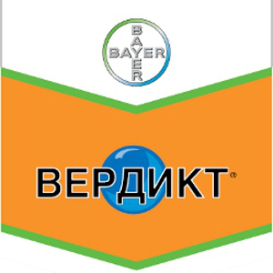 Шеврон Вердикт