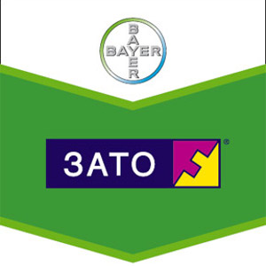 Шеврон Зато