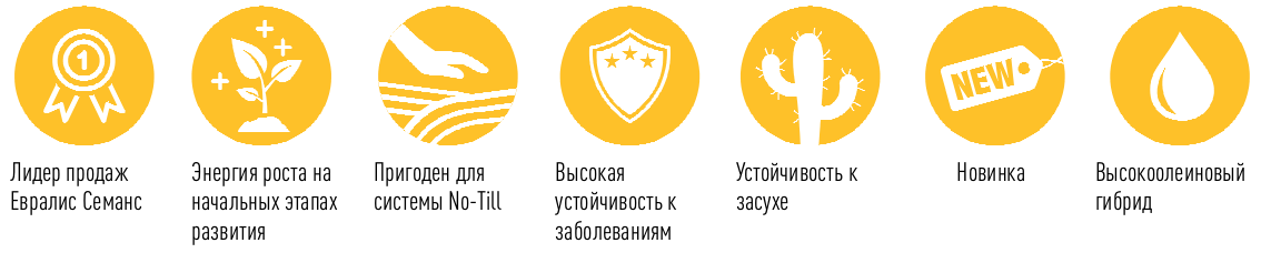 Семена подсолнечника купить оптом, семена подсолнуха Евралис от Crop ...