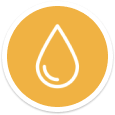 high-oleic-hybrid