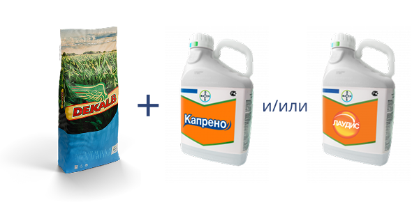 Вариант программы 1