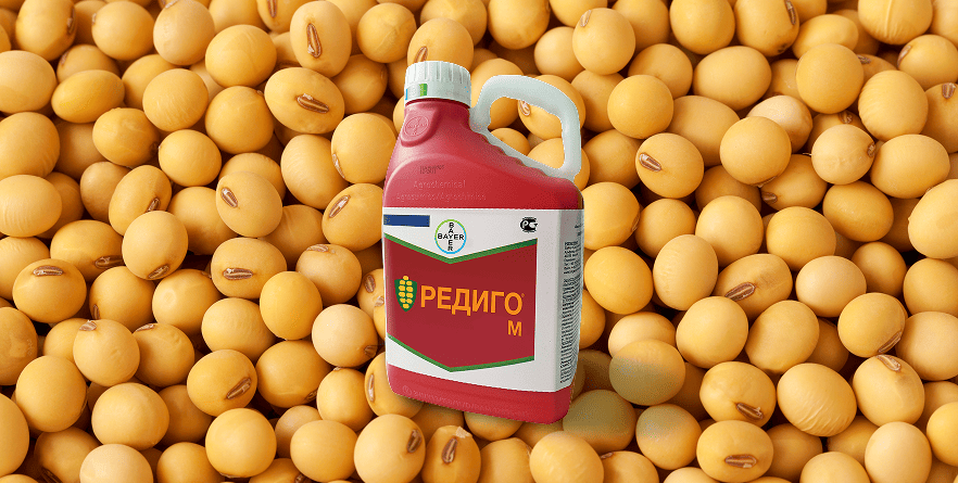 Время протравливать сою!