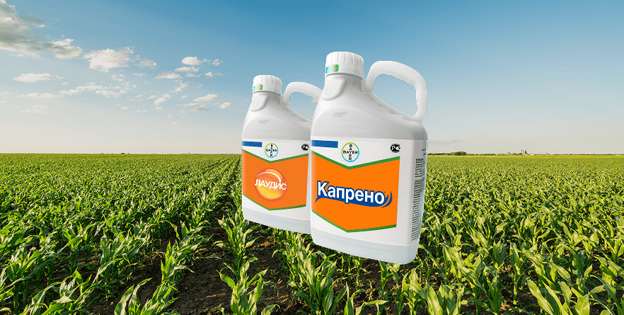 АНТИРЕЗИСТЕНТНАЯ СТРАТЕГИЯ