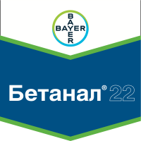 Бетанал 22