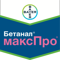 Бетанал максПро