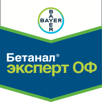 Бетанал Эксперт ОФ