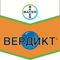 Вердикт