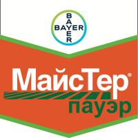 МайсТер Пауэр