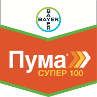 Пума Супер 100