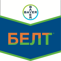 Белт