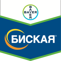 Биская