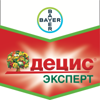 Децис Эксперт